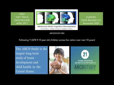 Innovators in Cog Neuro - Damien Fair, University of Minnesota