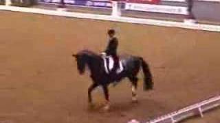 Video von Don Schufro