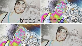 trees - France (by the Libertines)