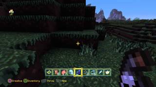 MineCraft- Wedding Setup -Gameplay