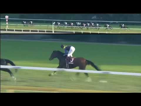 2017.11.05 Copa Republica Argentina (JPN) - Suave Richard