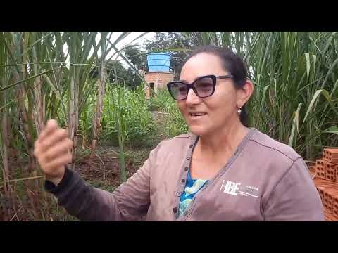 PROGRAMA CAPITAL RURAL ESPECIAL EM SIGEFREDO PACHECO - 15/05/2025