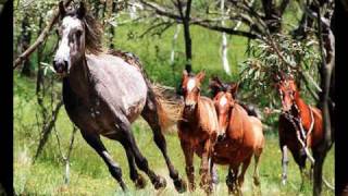 EL CORRALERO - FITO MENDEZ