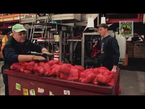 Holstar Sp. z o.o.Pęzino