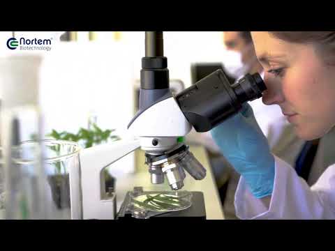 Vídeo Corporativo Nortem BioGroup