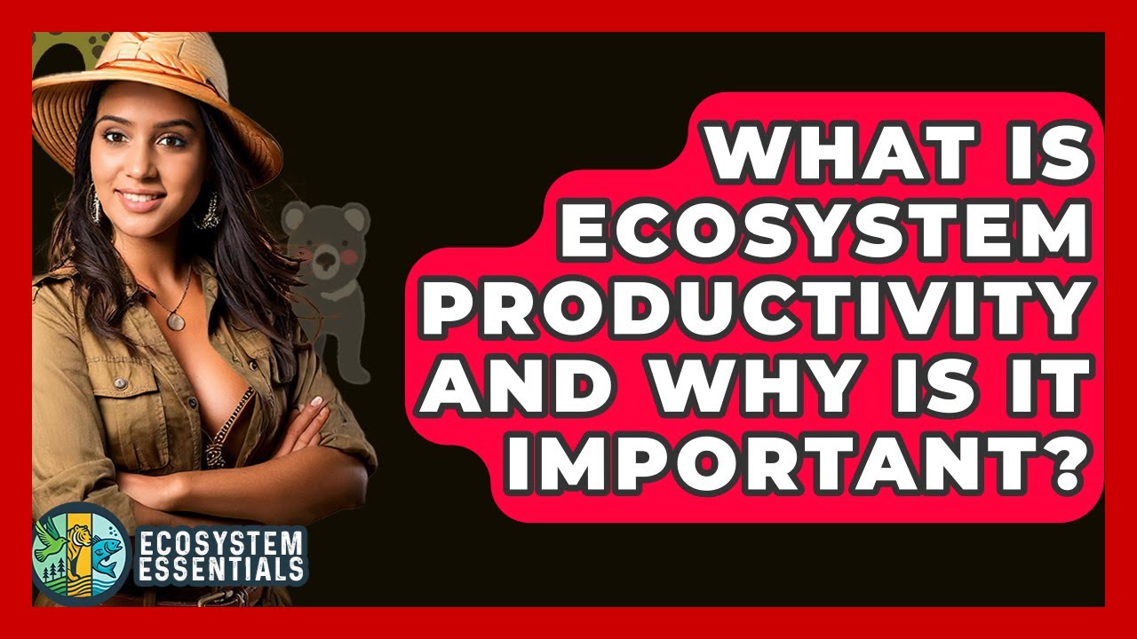 What Is Ecosystem Productivity And Why Is It Important? - Ecosystem Essentials
