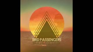 Bird Passengers - Safely In