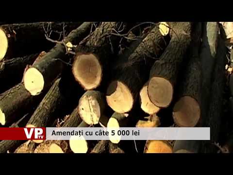 Amendați cu cate 5 000 lei