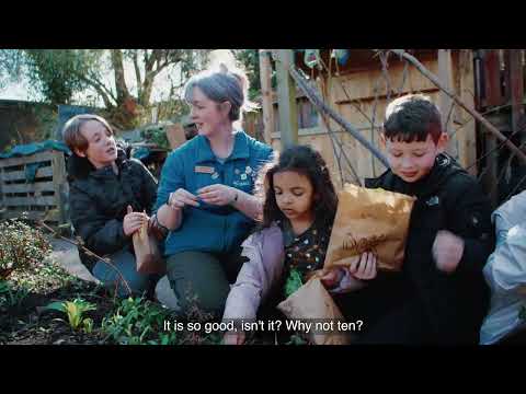 RSAのプレイフル・グリーン・プラネットの活動 (RSA's Playful Green Planet in action)