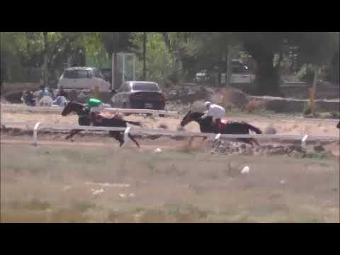 carrera 11 ganador caudillo