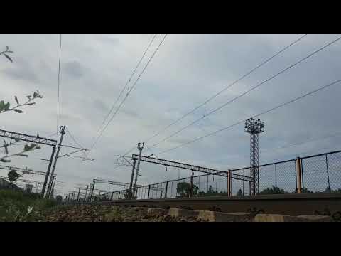 Regio calatori  11036 în brazi