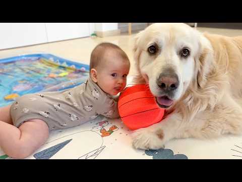 YouTube 썸네일
