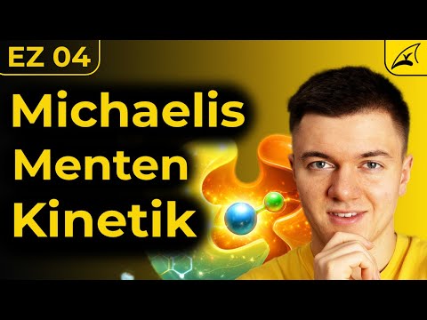 Michaelis Menten Konstante & Gleichung - einfach erklärt! // The ONLY video you'll need ... 😉