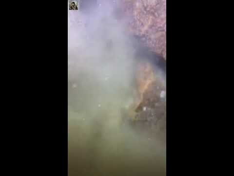 I catching seafood on the seafloor-P1 #fishing #ocean #deepsea #nature #beach