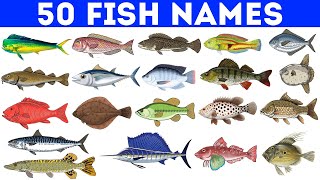 50 Fish Names | Fish Vocabulary | Sea Fishes | Types of Fish | Fish Names in English