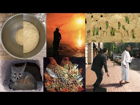 054-056 Kvasac, Mreža, Cena Učeništva - Harmonija Evanđelja