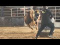 ACCESS DENIED Bull Catches PHOTOGRAPHER In His DEBUT In Votuporanga