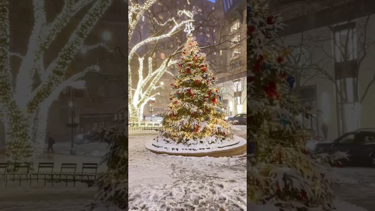 Chicago☃️🤍❄️this is how the real snowstorm drive feels in the windy City in Christmas time❤️ ☃️🌲✨