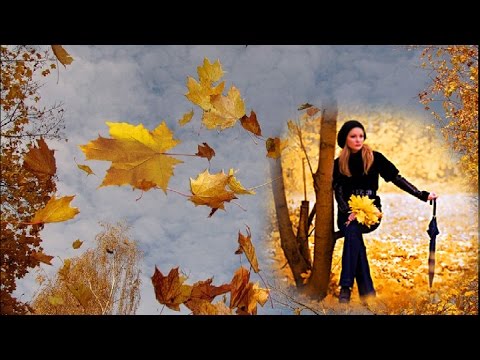 дмитрий маликов и анжелика варум листья желтые. маликов и варум. дмитрий маликов и анжелика варум листья желтые. новогодний огонек 2021 на первом канале. королёва жёлтые тюльпаны караоке.