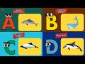 A To Z Dolphin Song For Kids Learn Dolphin Names From A To Z In Fun ABC Rhyme Abcd Kids