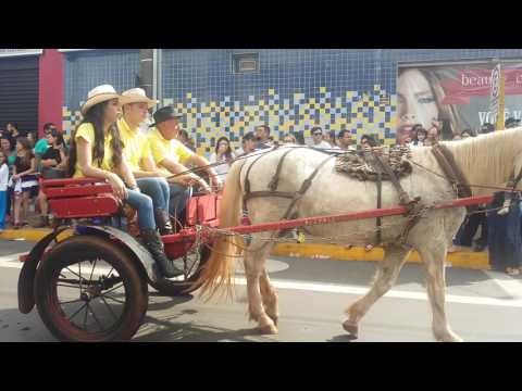 Desfile de Pederneiras 2016