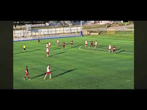 Video sličica