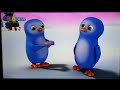 Wissper Penguin Pebble Problems