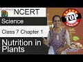 NCERT Class 7 Science Chapter 1 Nutrition In Plants NSO NSTSE Olympiad English CBSE