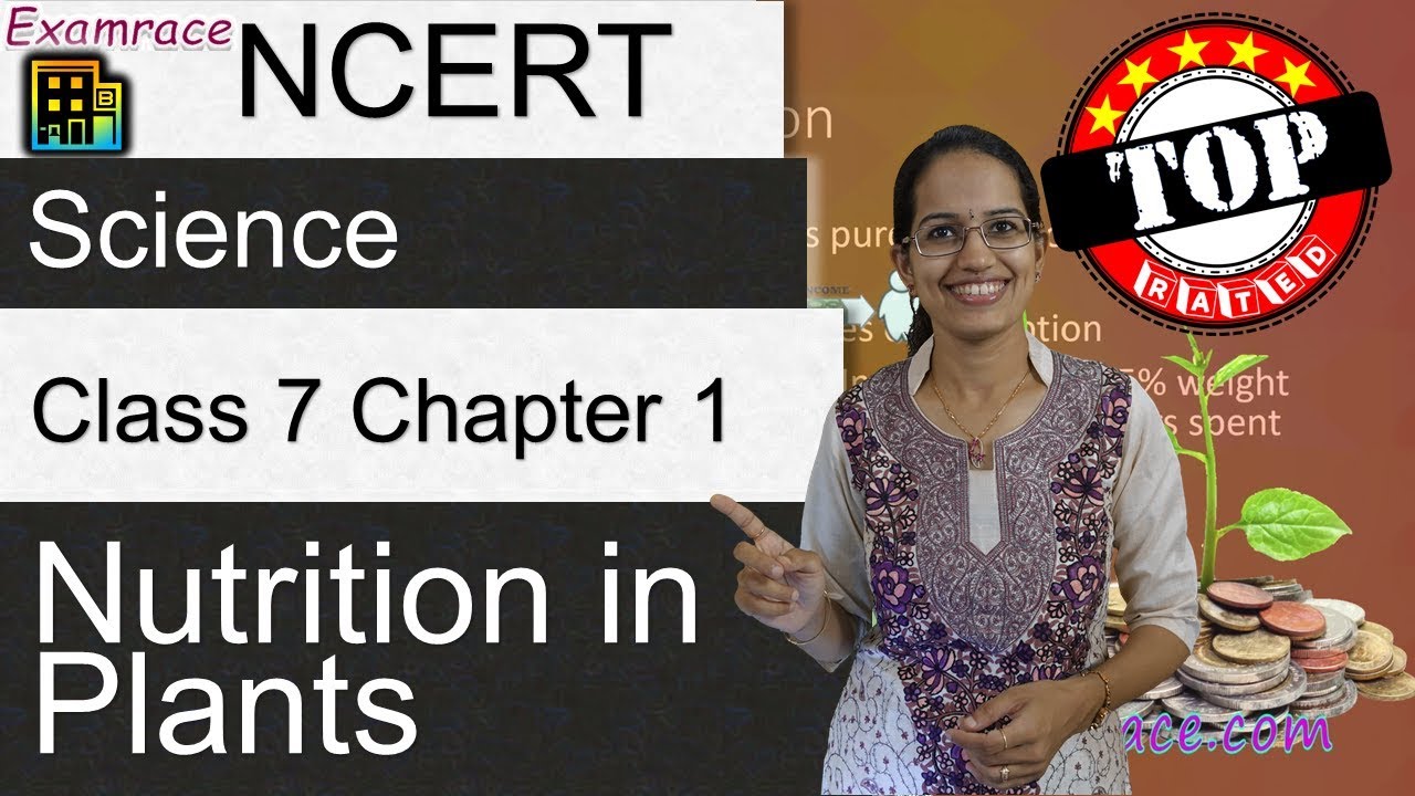NCERT Class 7 Science Chapter 1: Nutrition in Plants (NSO/NSTSE/Olympiad) | English | CBSE