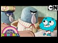 What Did Darwin Drink The Anybody Gumball Cartoon Network