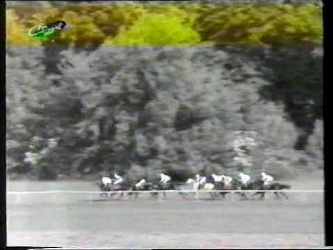 Daph Bid-Nagroda Iwna