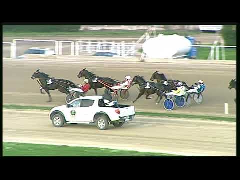 Trotto 22/11/2020 - 7ª corsa