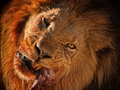 Galatasaray - Hücum Marşı