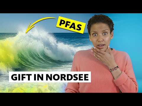 Sind wir alle VERGIFTET ohne es zu wissen? I Studio Q