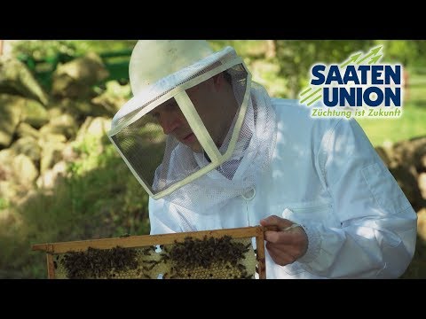 Wir sind die Saaten-Union – Stefan Ruhnke (Projektleiter Öko-Saatgut)