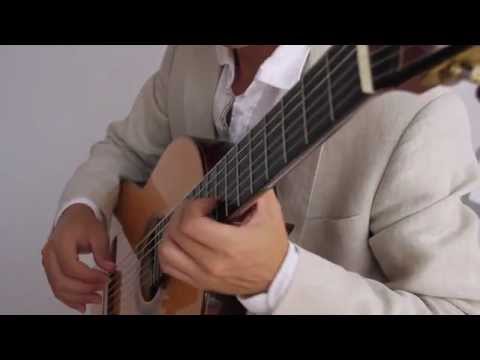 Guitar music for hotels, restaurants, wedding ceremonies and events - Charleston & Miami