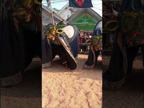 Bantengan keren asal malang #bantengan #shortsviral #jaranan #viralvideos #funny #fyp