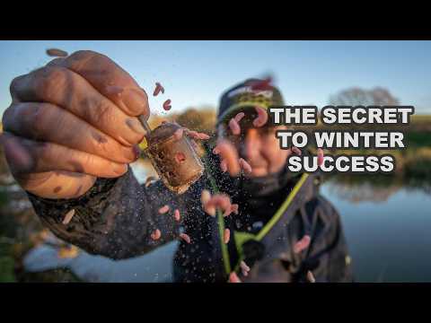 The secret to winter feeder fishing - Ultimate Maggot Feeder Fishing