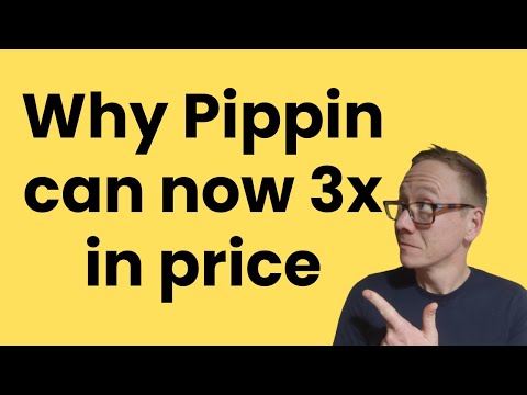 Pippin Krypto-Testbericht – Kann man jetzt damit Geld verdienen?