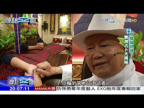 樹葉算命