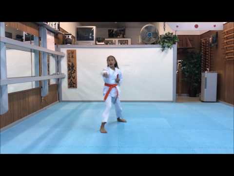Kata Kihon Nidan