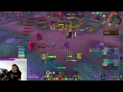 Guide: Überwuchertes Urtum (Overgrown Ancient) | Dungeon Boss | Akademie von Algeth'ar