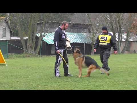 Svod NO 2017 - Tim Mihapa