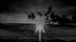 The Pains of Being Pure at Heart - Even in Dreams