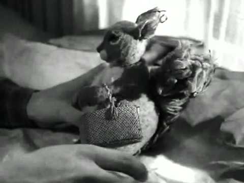 Squirrel - The Cranes are Flying