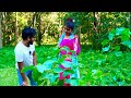 Chool Buli Rani Jangal Me Kamlesh Radha Chauhan Official Video