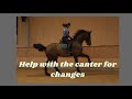 Help With The Canter And Multiple Flying Changes
