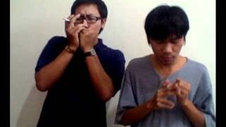Video thumbnail for Suzuki Harmonicas Review Blues Master vs Folk Master - Slow & Easy by Robert Harp