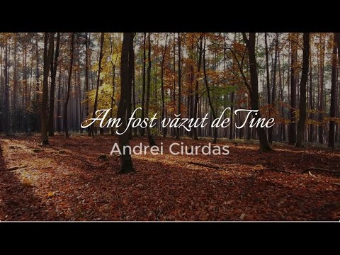 I was seen by You - Andrei Ciurdas