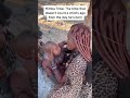 Tribe baby care #shorts #africa #tribalculture #viral #culture #tribelife #tribe